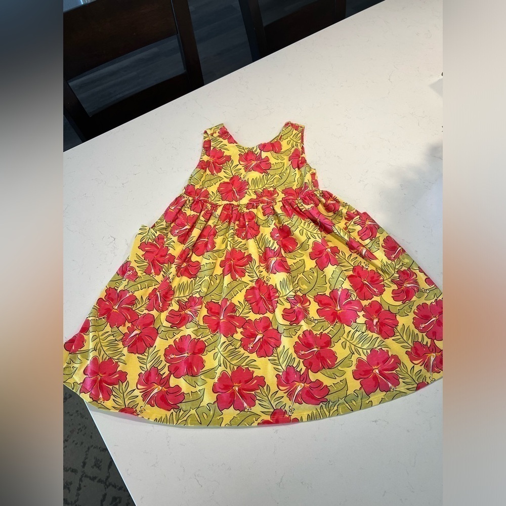 Flapdoodles Floral girls dress size 10